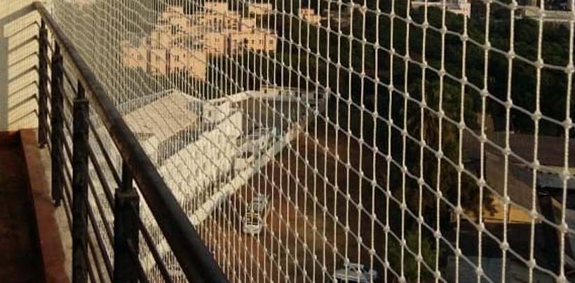 Bird Protection Nets In Bangalore | Call 9741713355 for Free Inspection