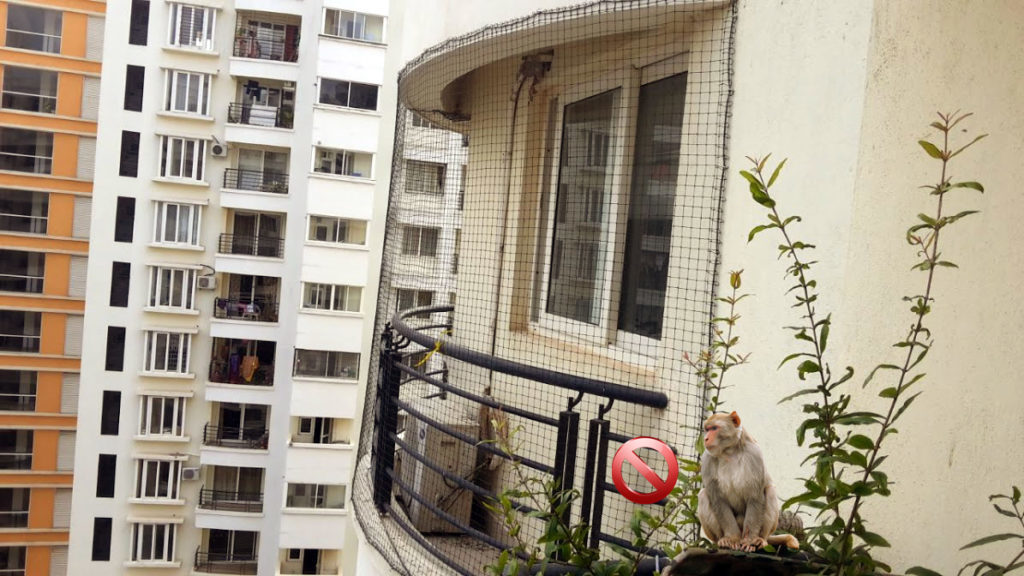 Monkey Protection Nets for Balcony | Call 9741713355 fixing in Bangalore