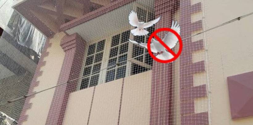 Pigeon Net Installation In Bangalore | Call 9741713355 for Best Quality Net 