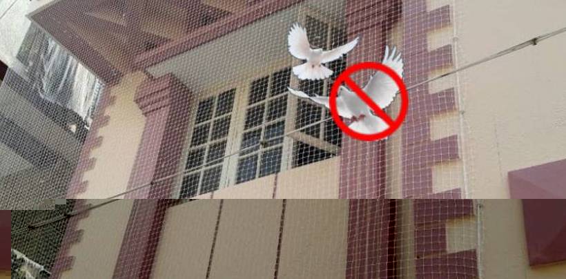 Pigeon Nets for Balcony in Bangalore | Call 9741713355 Mani Safety Nets