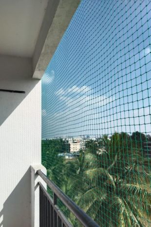 Pigeon Netting Service
