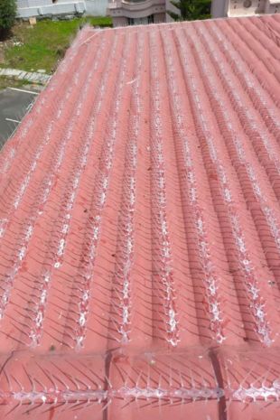 Pigeon Control Spikes