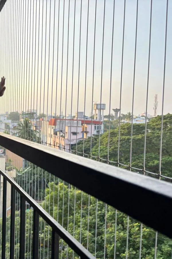 Invisible Grills for Bird Control